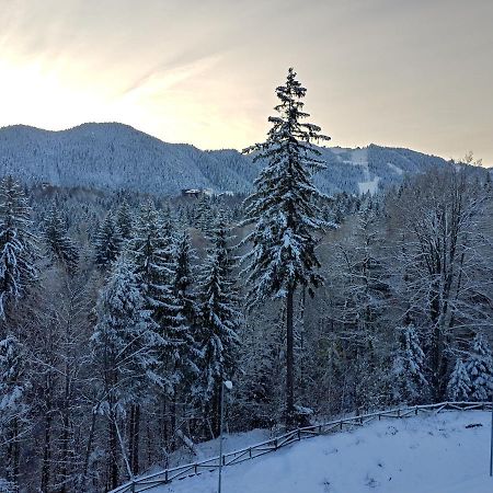 Dor Apartment Poiana Brasov Buitenkant foto