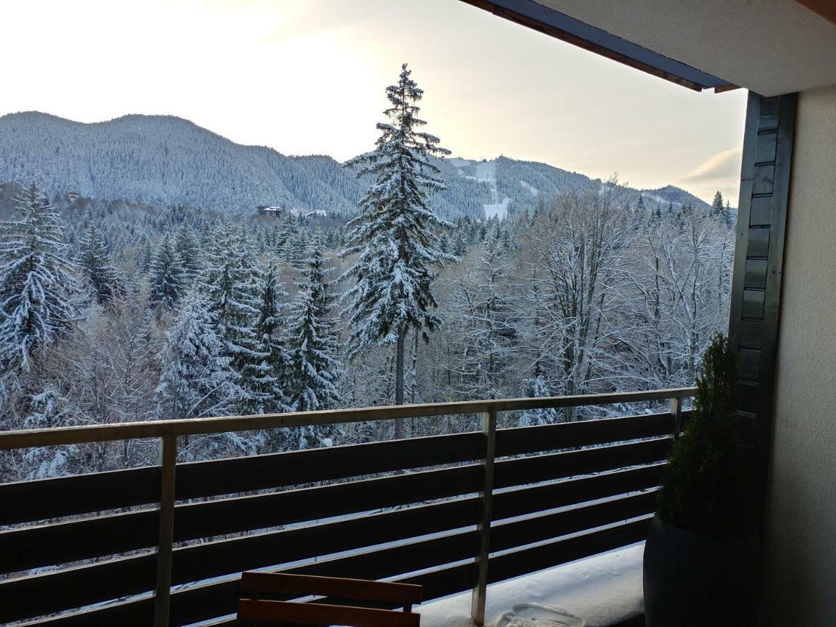 Dor Apartment Poiana Brasov Buitenkant foto
