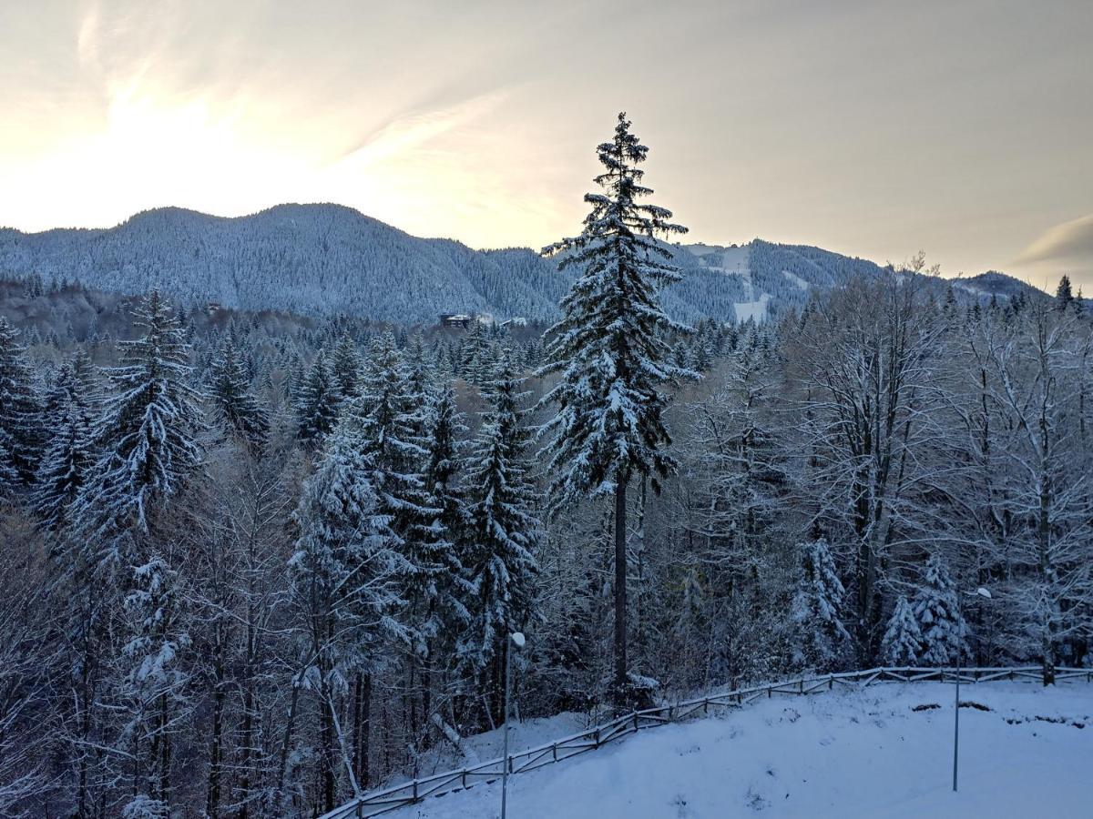 Dor Apartment Poiana Brasov Buitenkant foto